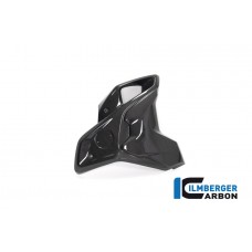 Ilmberger Carbon Airtube Right INCL. Flap (2 Pieces) for the BMW R 1250 GS 2019